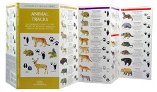 Pocket Naturalist: Animal Tracks
